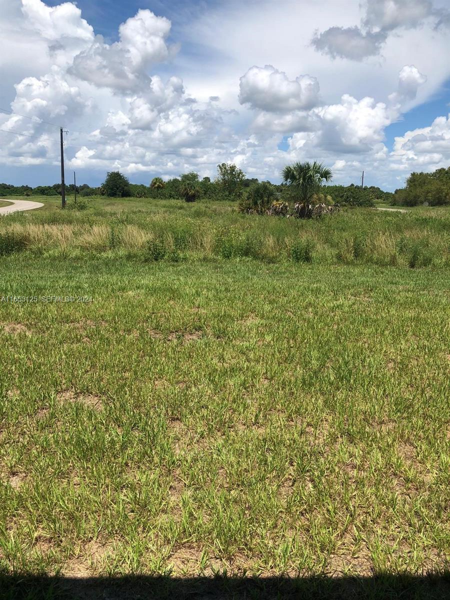 Back yard and surrounding land
